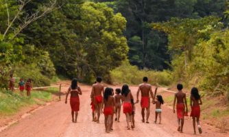 Global: UN Special Rapporteur is right to raise human rights concerns about carbon markets